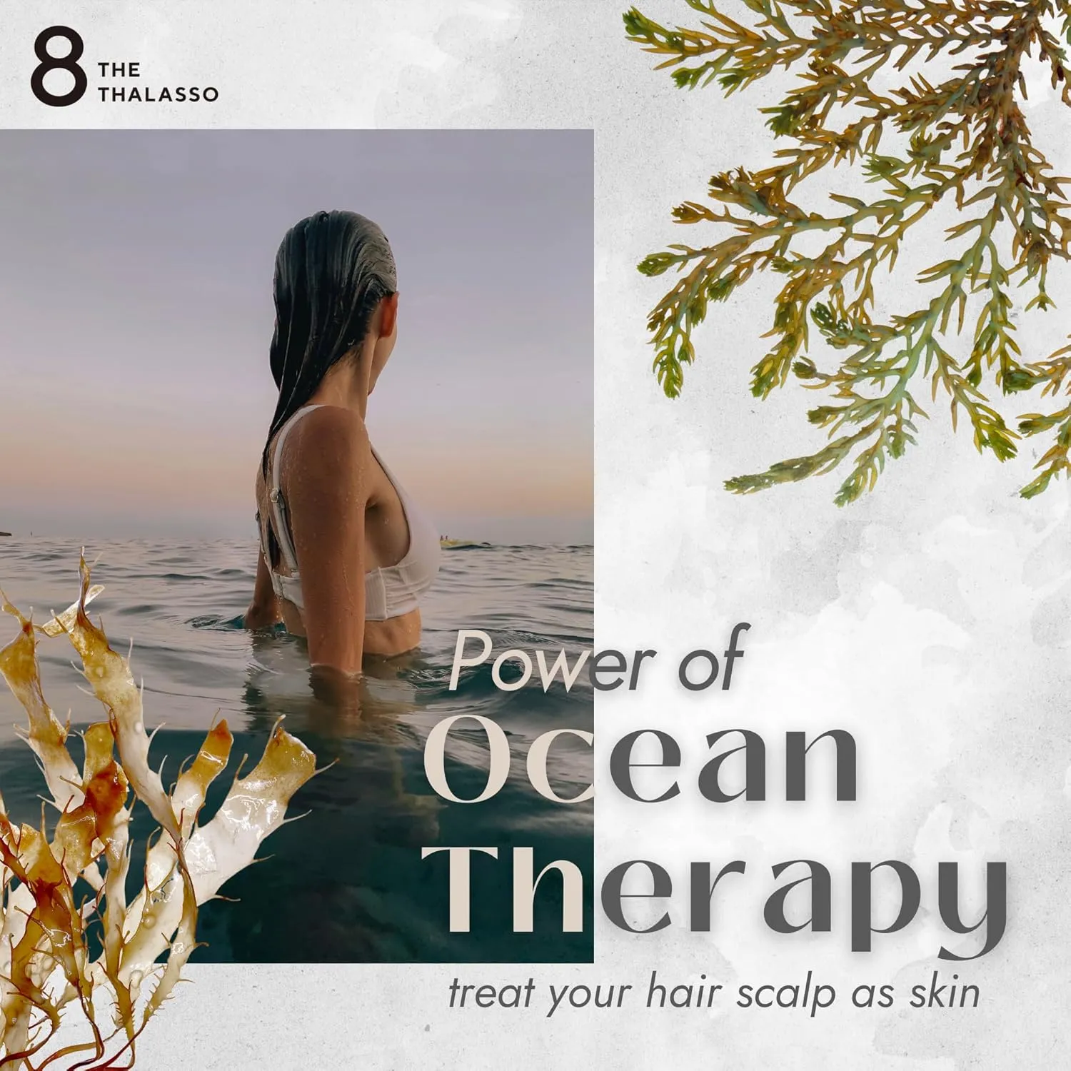 8 THE THALASSO Anti Frizz Shampoo for Thin Hair Women & Men, Natural Tea Tree Shampoo with Anti Aging Stem Cells & Collagen for Hydration from Japan, Silicone & Paraben Free, SMOOTH, 16.06 Fl Oz