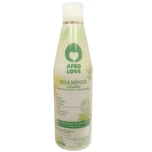 Afro Love Shampoo 16oz – Sulfate-Free, Moisturizing & Curl-Defining Shampoo for Natural, Curly, and Coily Hair – Hydrating Formula with Coconut & Aloe Vera – Gentle Cleanser for Dry & Damaged Hair