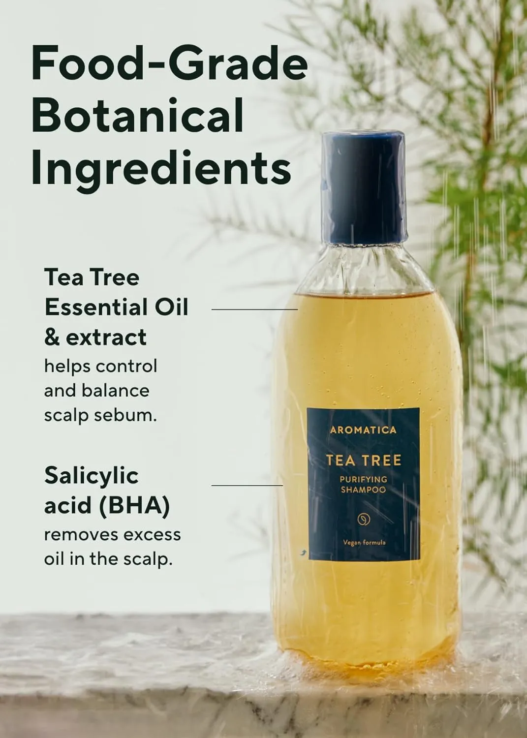 AROMATICA Tea Tree Purifying Shampoo 13.53fl.oz./400ml, Tea Tree Shampoo for Oily Hair and Scalp, Sulfate Free, Vegan
