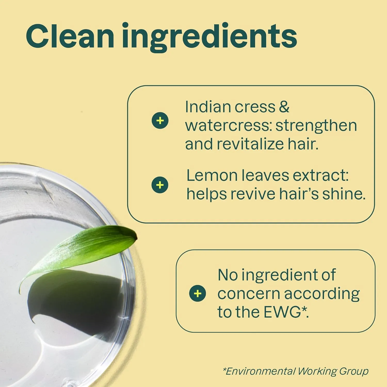 ATTITUDE Clarifying Hair Shampoo, EWG Verified, Restores Shine, Naturally Derived Ingredients, Vegan and Plant Based, Lemon Leaves and White Tea, 16 Fl Oz (Pack of 6)