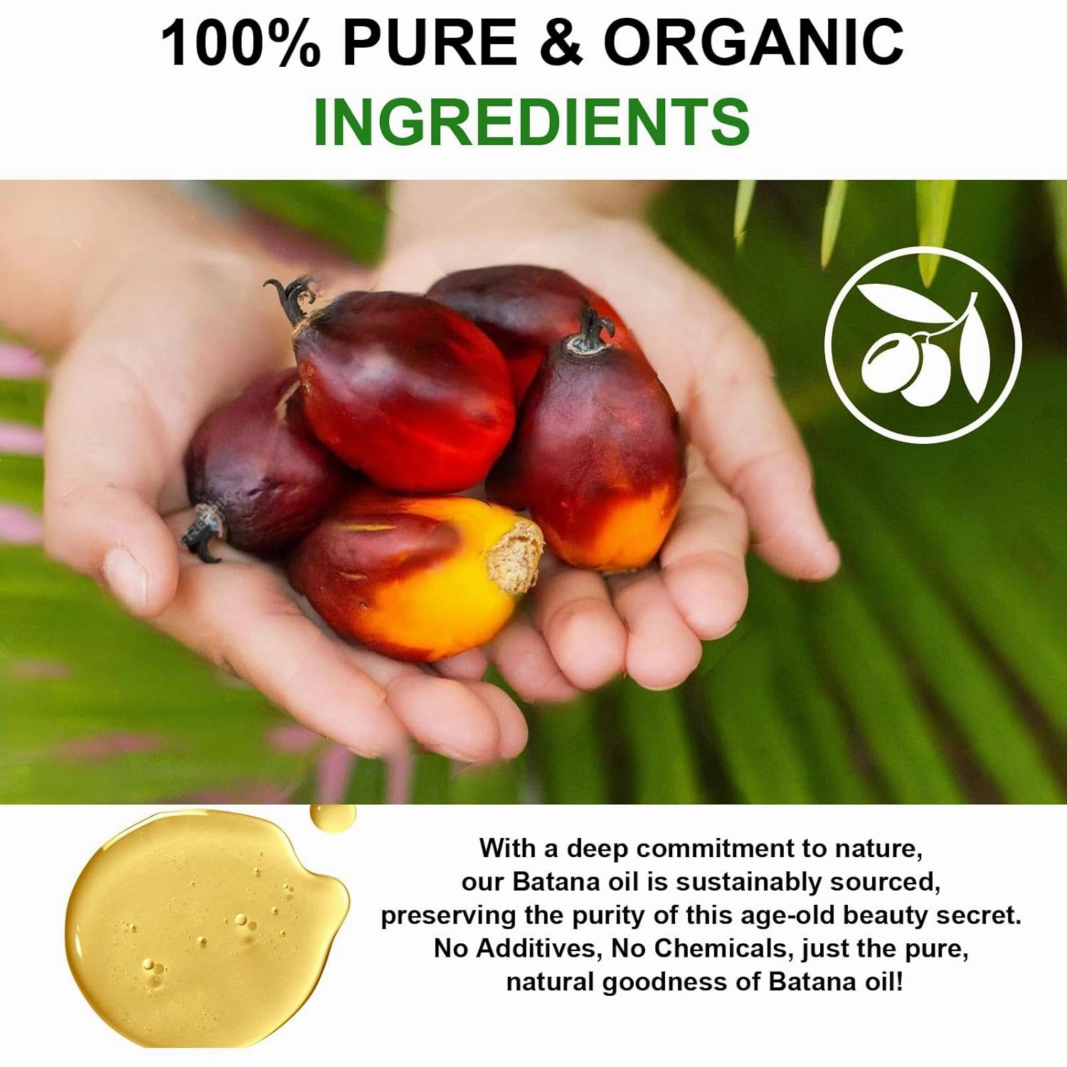 Batana Oil for Hair Growth, 2 Pack 100% Pure Natural Organic, Moisturizing Skin and Hair Care for Dryness and Roughness, Anti-aging (2.02 Fl Oz (Pack of 2))