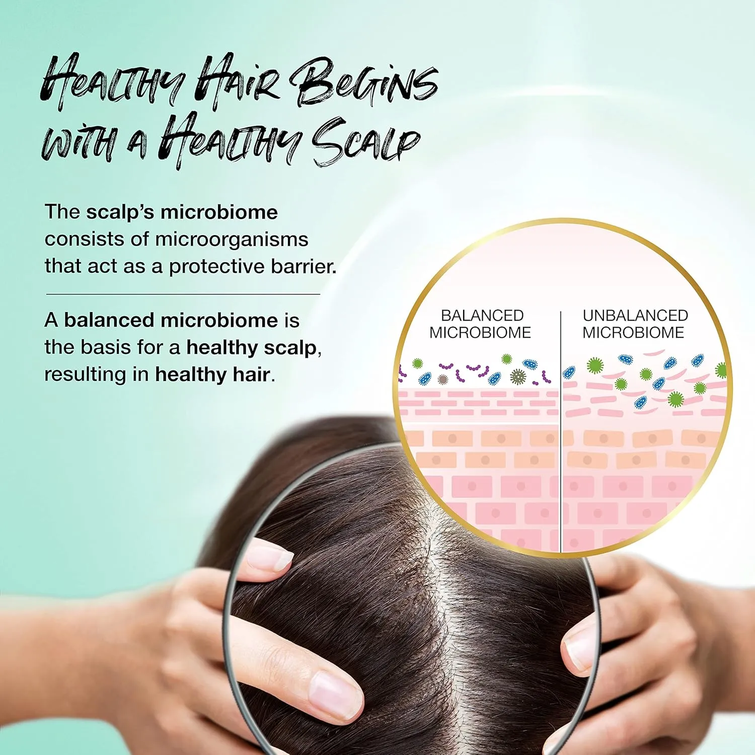 Biotera Moisturizing Shampoo | Hydrates & Moisturizes Dry, Medium, Fine Hair | Microbiome Friendly | Vegan & Animal Test Free | Paraben Free | Color-Safe