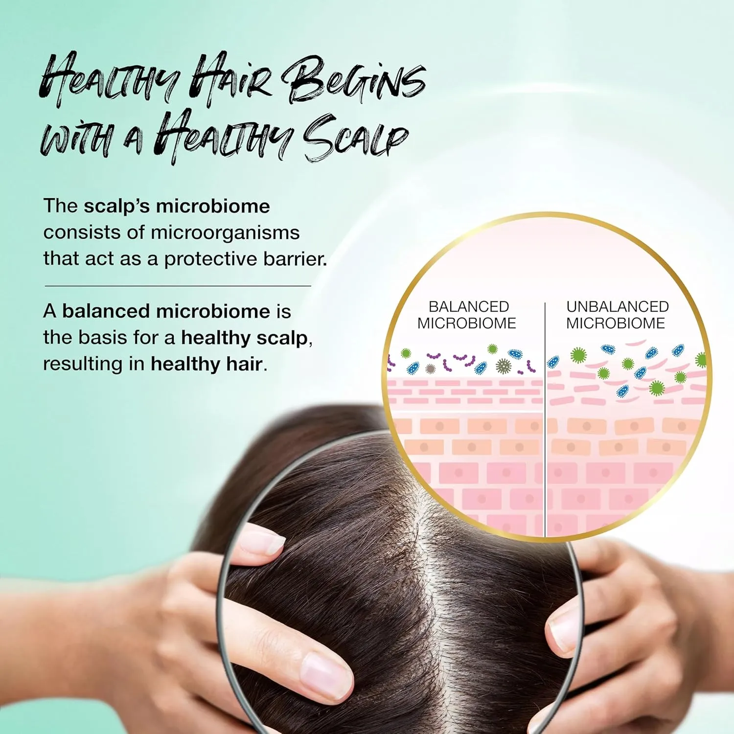Biotera Moisturizing Shampoo | Hydrates & Moisturizes Dry, Medium, Fine Hair | Microbiome Friendly | Vegan & Animal Test Free | Paraben Free | Color-Safe
