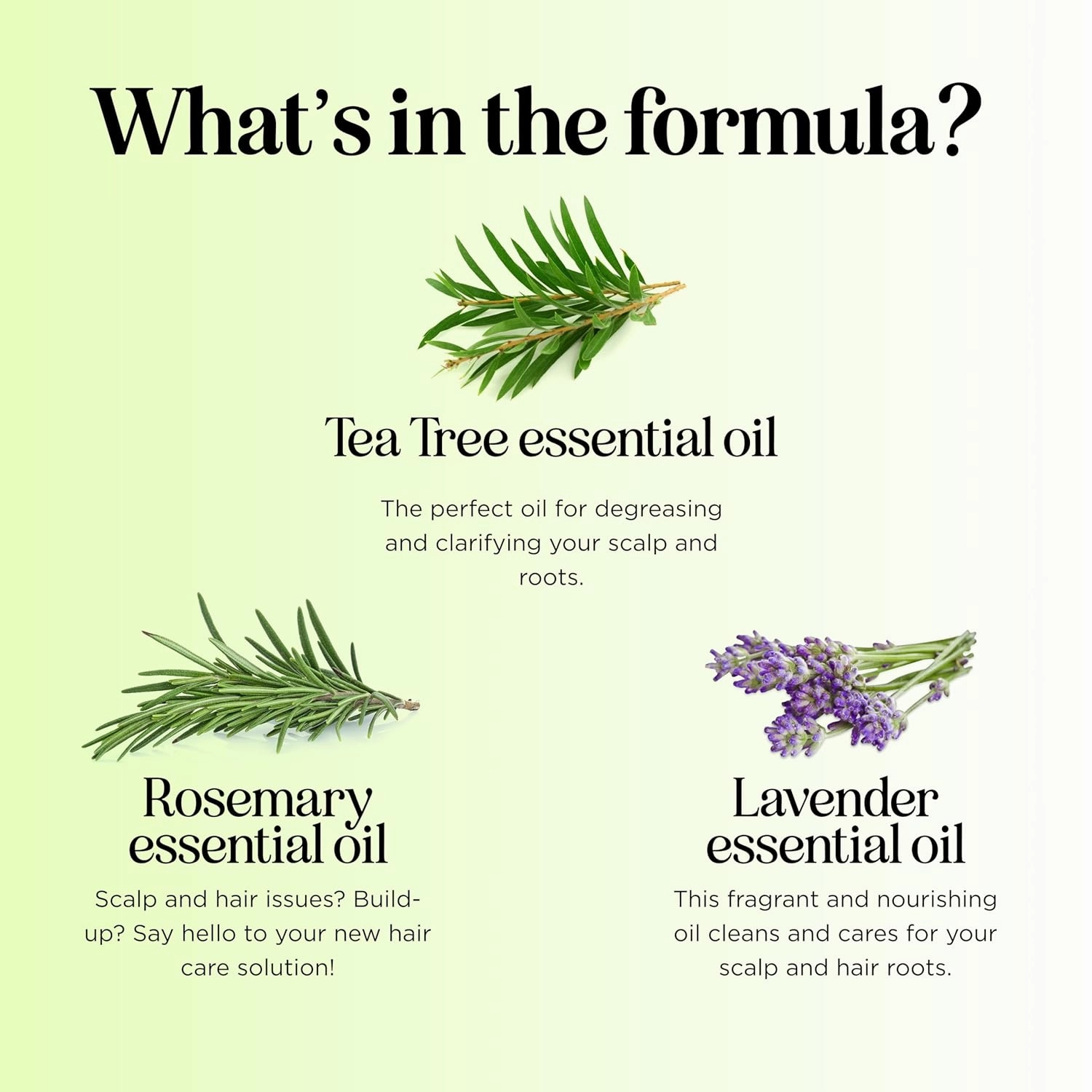Clarifying Shampoo for Build Up & Oily Hair - Tea Tree Shampoo for Men and Women with Rosemary Essential Oil for Oily Hair and Scalp - Color Safe Vegan Sulfate Silicone & Paraben Free (10 Fl Oz)
