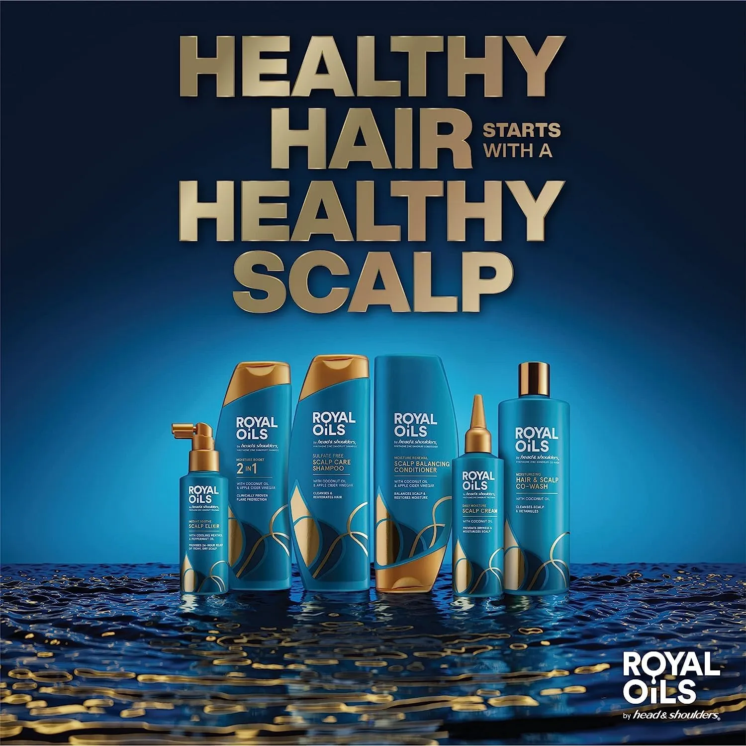 Head & Shoulders Royal Oils Shampoo and Conditioner Set, Includes Anti-Dandruff Scalp Care Shampoo (12.8 Fl Oz.) & Moisture Renewal Scalp Balancing Conditioner, Hair Treatment for Curly & Coily Hair