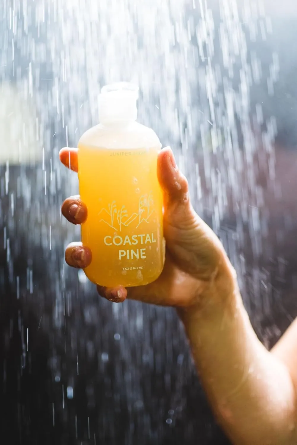 JUNIPER RIDGE Coastal Pine Body Wash - All-Purpose Liquid Castile Soap, Multi-Use Body Wash, Shampoo, Hand Wash, Face Wash, Clean, Vegan, Paraben Free, Preservative Free, 8 oz