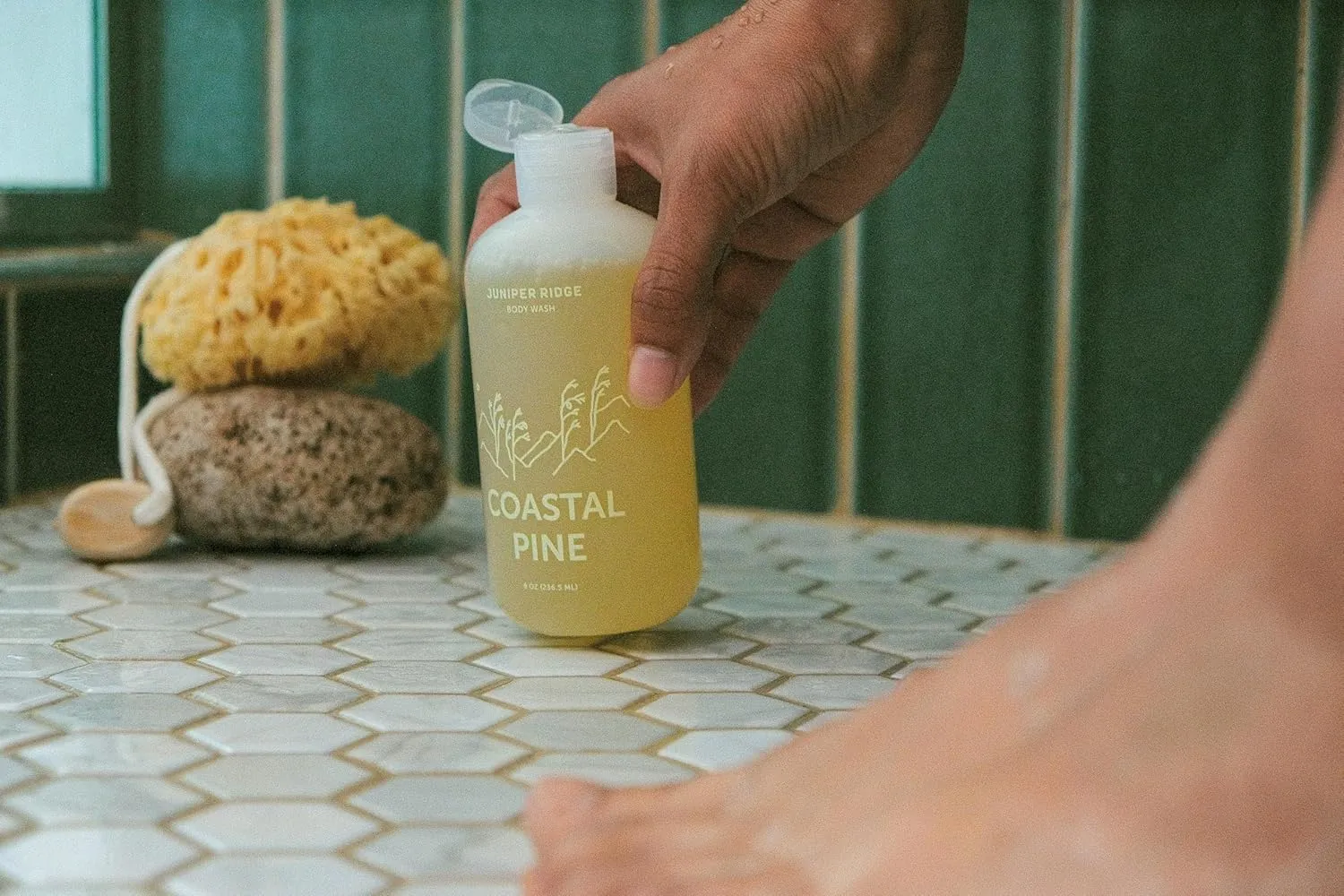 JUNIPER RIDGE Coastal Pine Body Wash - All-Purpose Liquid Castile Soap, Multi-Use Body Wash, Shampoo, Hand Wash, Face Wash, Clean, Vegan, Paraben Free, Preservative Free, 8 oz