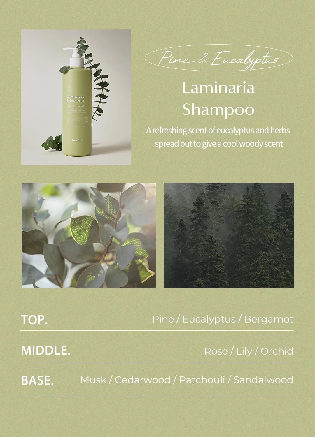 Laminaria Shampoo with Organic Ingredient, Korean Clarifying Shampoo, Hydrating for Dry Hair, Strengthening for Weak Hair, Sulfate & Paraben-Free, for Women & Men, 33.8 FL OZ, Pine Eucalyptus