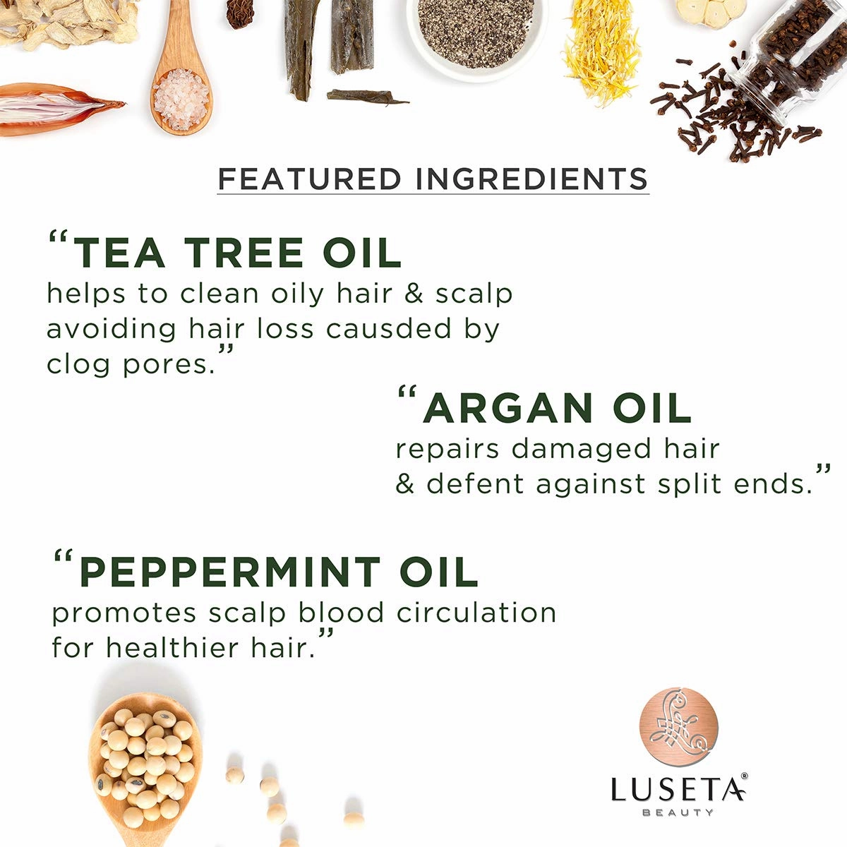 Luseta Tea Tree Shampoo with Argan Oil 16.9 Fl oz- Clarifying,Hydrating and Fighting Dandruff and Itchy Scalp - For Damaged and Oil Hair - Sulfate and Paraben Free for Men and Women