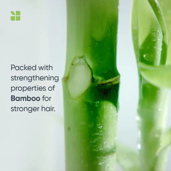 Matirx Biolage fiberstrong intra-cylane bamboo shampoo, Reduces Hair fall 400ml