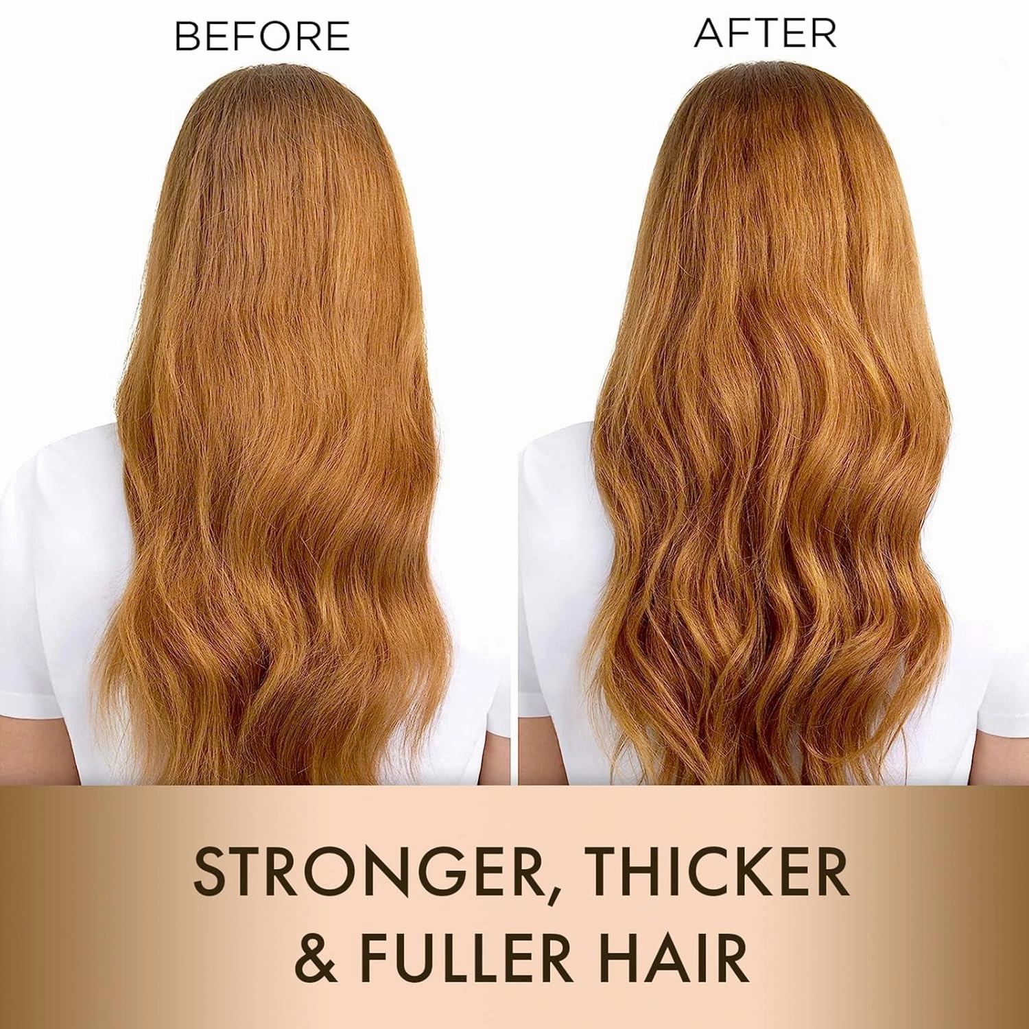 MOEHAIR Travel Kit (Protein Shampoo, Conditioner, Leave-In Conditioner & Hair Serum), Sulfate & Paraben Free | Suitable for All Hair Types