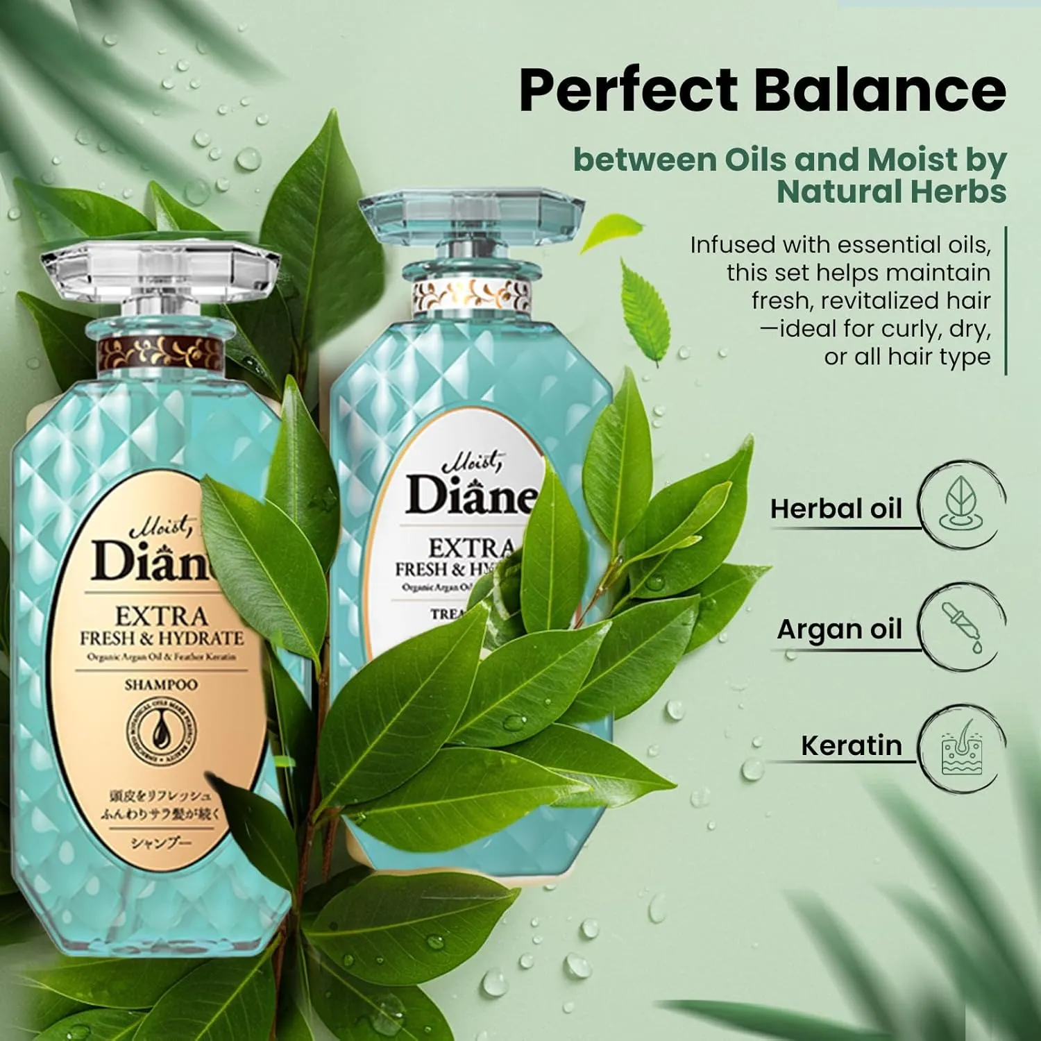 Moist Diane Anti Dandruff Shampoo and Conditioner Set for Oily Hair, Keratin Shampoo for Women & Men with Argan Oil, Tea Tree & Mint from Japan, Paraben& Silicone Free, EXTRA FRESH & HYDRATE 30.4Fl Oz