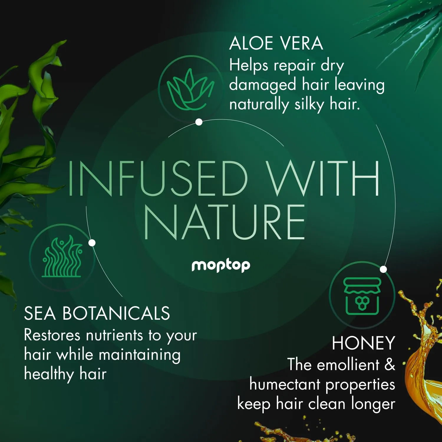 MopTop Salon Gentle Shampoo – Color Safe Salon Quality Hair Cleanser, Improves Moisture & Reduces Frizz, Sulfate & Paraben Free Hair Care for Straight, Wavy, Curly, Coily Hair (Lavender Mint, 12oz)