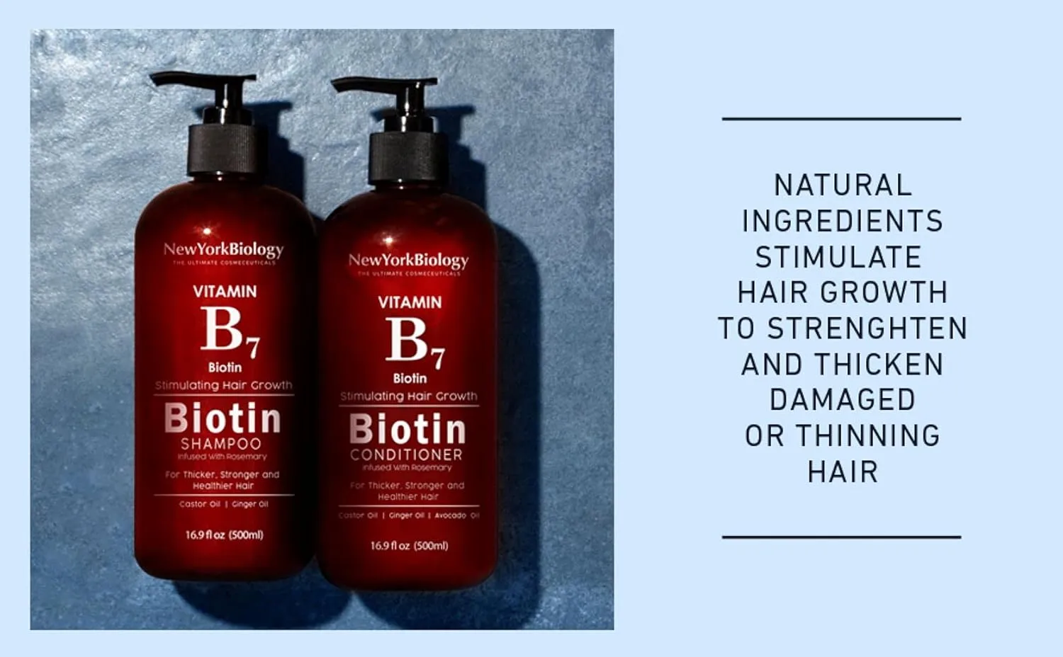 New York Biology Biotin Shampoo for Growth and Thinning Hair - Thickening Formula for Loss Treatment - For Men & Women - Anti Dandruff - 16.9 fl Oz