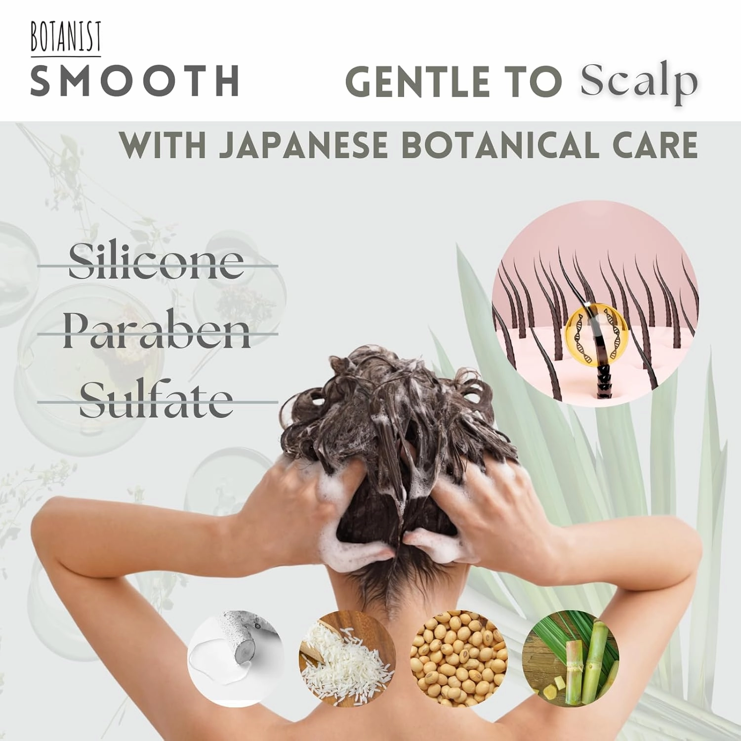 Organic Shampoo for Dry Frizzy Hair, Anti Frizz Shampoo with Macadamia Nut & Argan Oil for Women & Men & Kids, Silicone & Paraben Free, From Japan, SMOOTH, Green Apple & Rose,15.5 Fl Oz, 2EA
