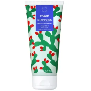 Purifying Shampoo - Clarifying Shampoo - Purifies and Hydrates Normal to Oily Hair - Dermatologically Tested - No Silicone or Sulfate - 6.76 oz