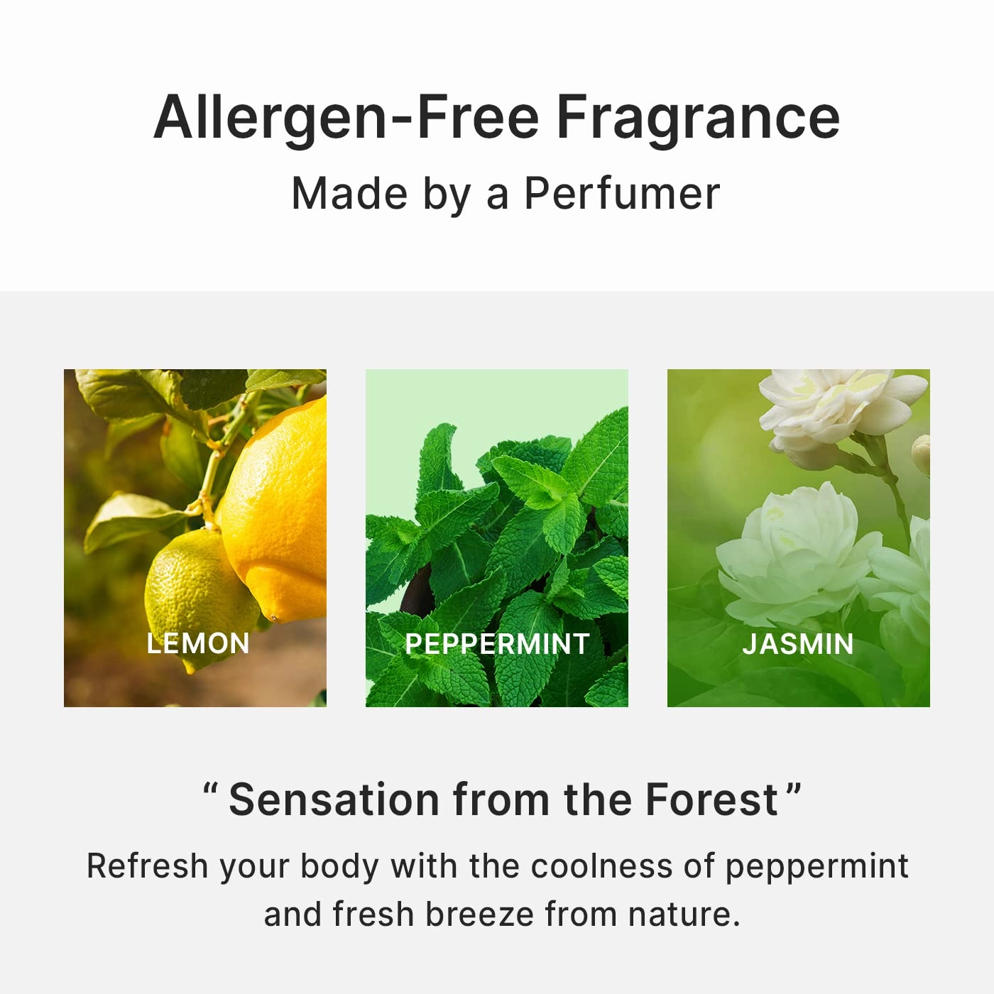 Refreshing Scalp Shampoo | Biotin & Panthenol I Dry, Itchy Scalp | Paraben-Free, Sulfate-Free I Green Breeze I 16.9 fl. oz