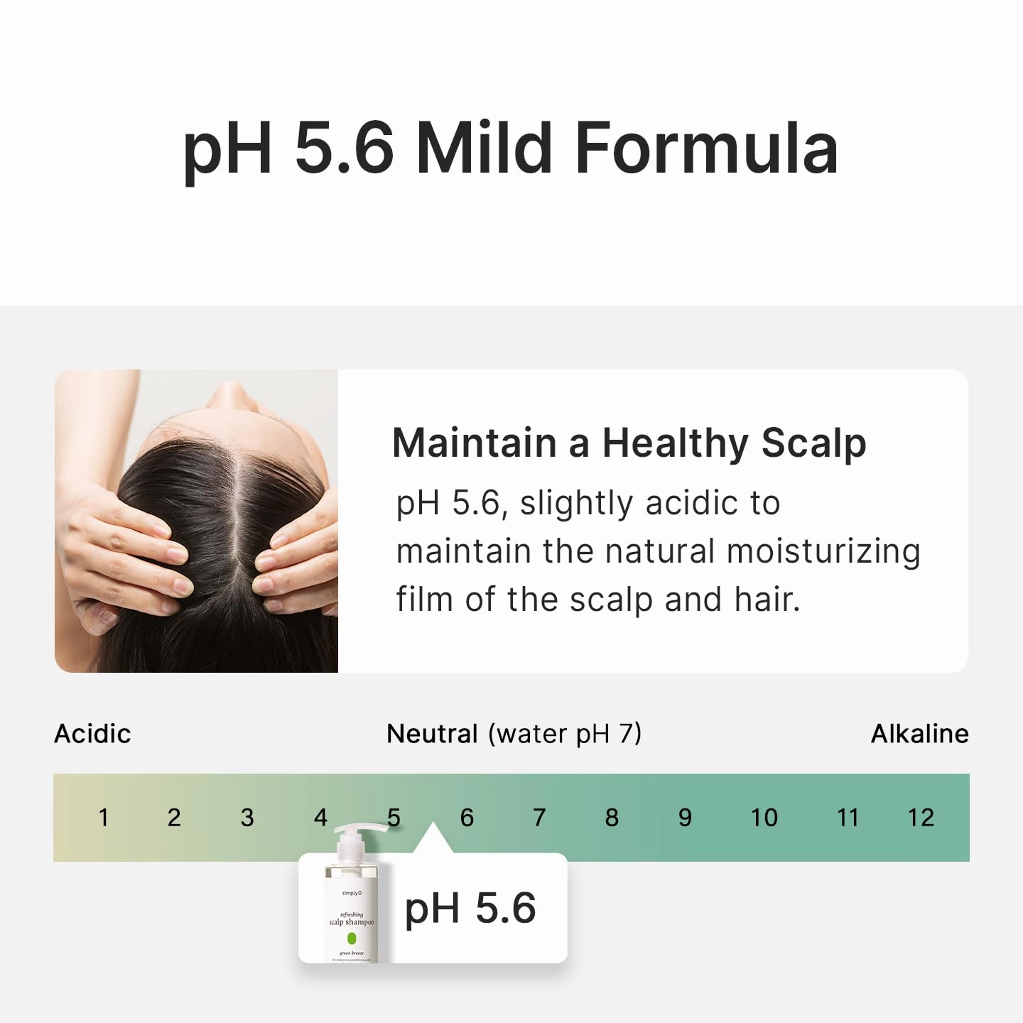 Refreshing Scalp Shampoo | Biotin & Panthenol I Dry, Itchy Scalp | Paraben-Free, Sulfate-Free I Green Breeze I 16.9 fl. oz