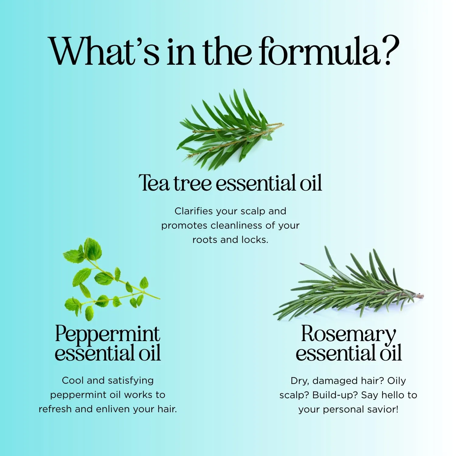 Rosemary Tea Tree Mint Shampoo - Clarifying Shampoo for Build Up and Flakes with Peppermint Oil and Tea Tree Essential Oil for Dry Scalp Treatment - Deep Cleansing Peppermint Tea Tree (16oz)