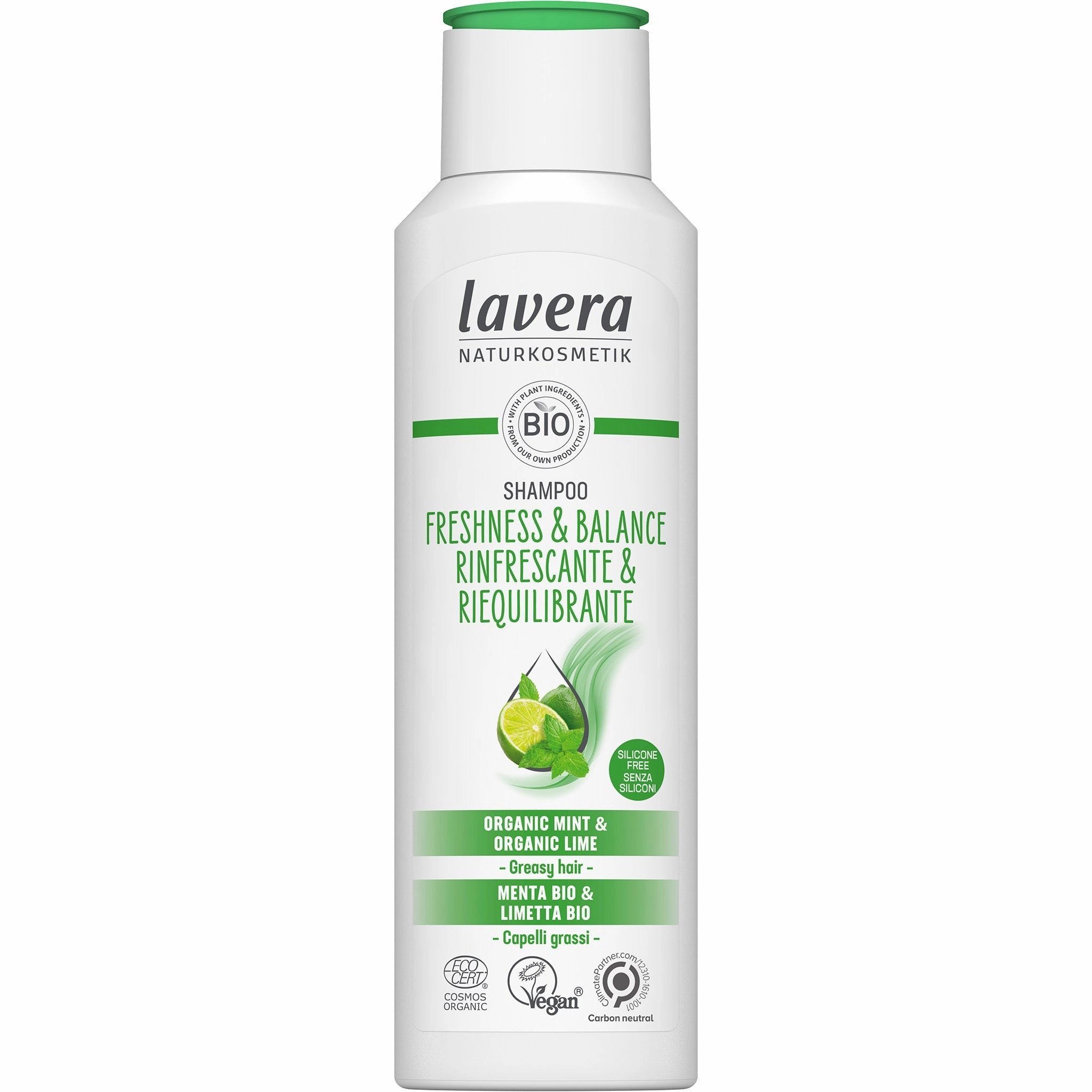 Shampoo | Freshness & Balance