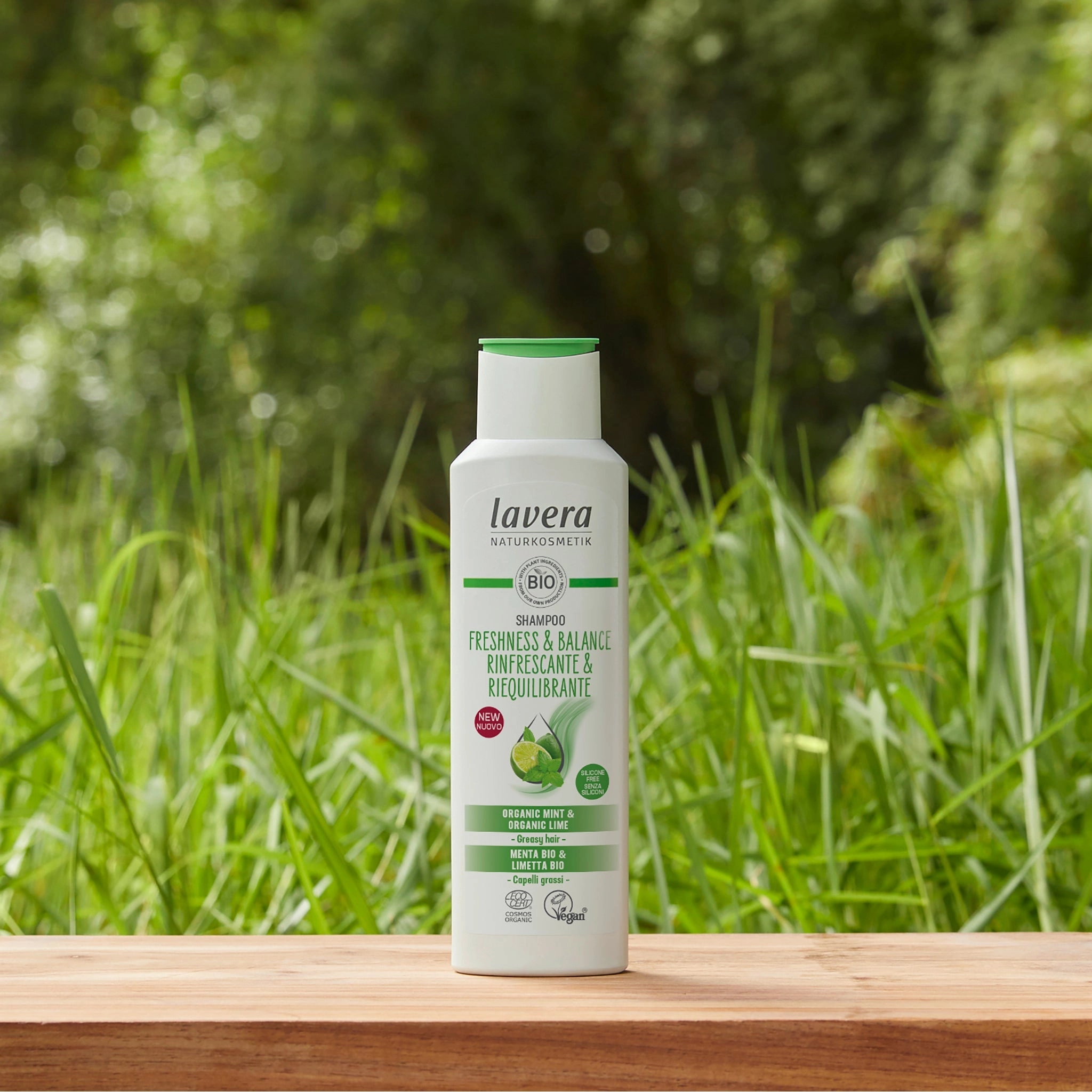 Shampoo | Freshness & Balance