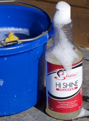 Shapleys Hi Shine Shampoo - Clearance