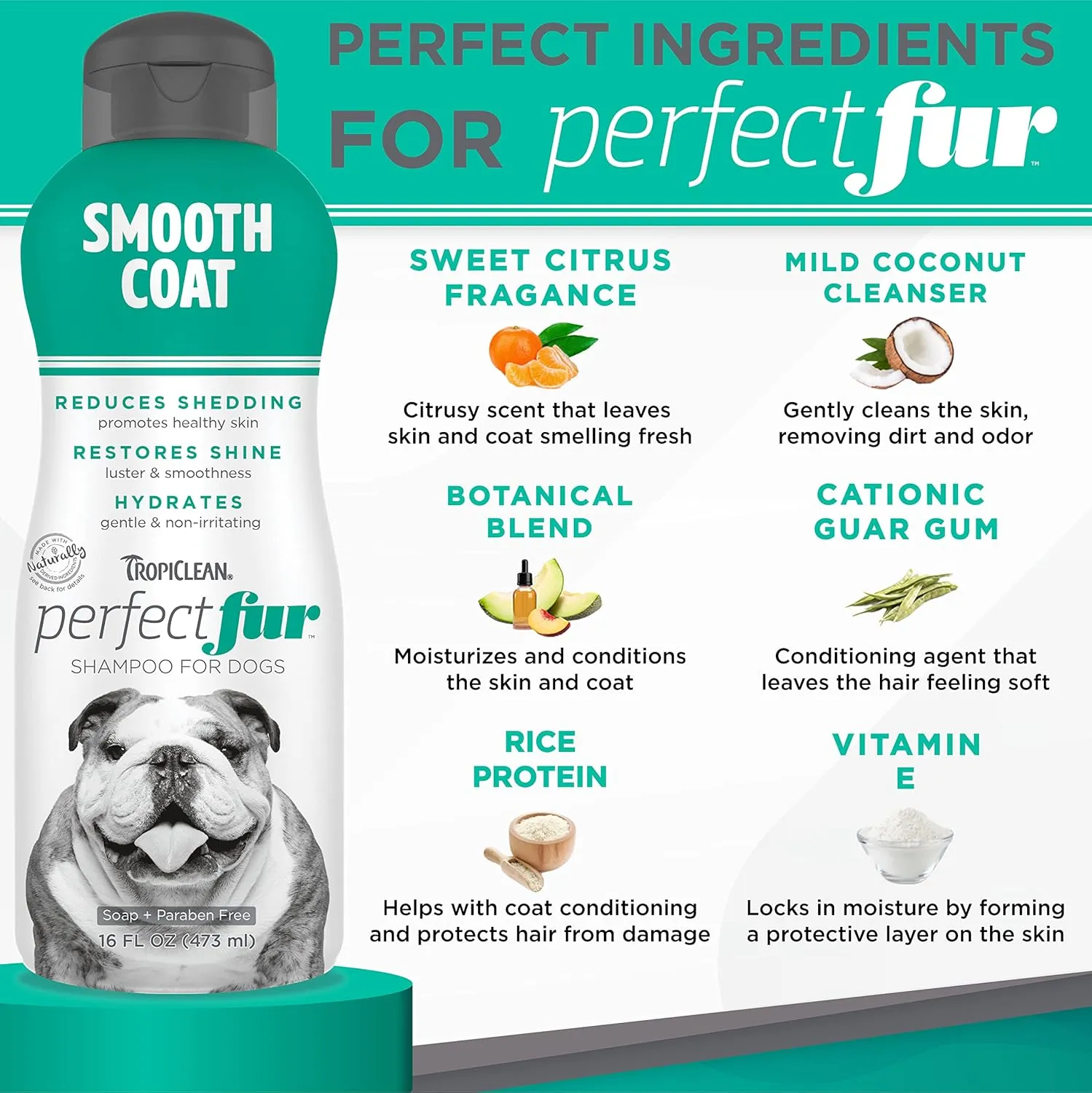 TropiClean Perfect Fur Deshedding Dog Shampoo for Breeds with Smooth Coats like Boxers, Bulldogs, Pointers, and Greyhounds, Natural Moisturizing Shampoo for Dry Flaky Skin, Puppy Safe, 16oz.