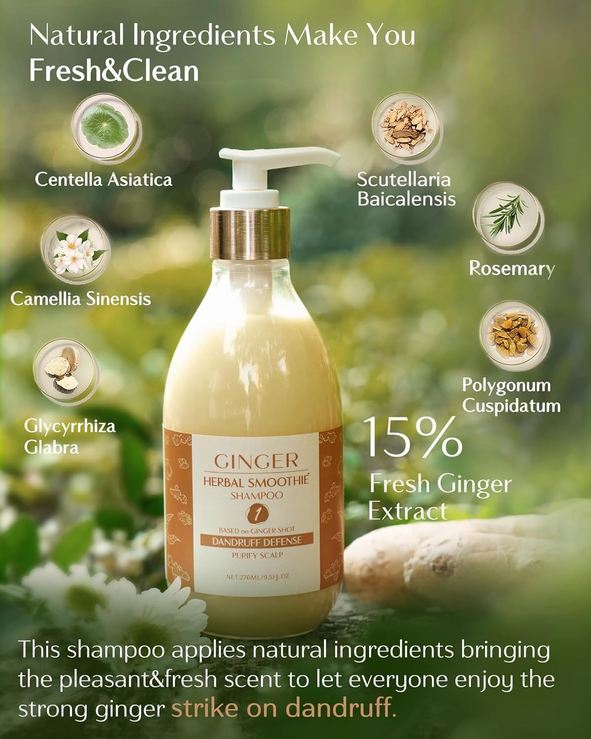 YANIBEST Anti-Dandruff Ginger Shampoo - Natural Organic Formula to Improve Scalp Environment, Clarify, Strengthen, Moisturize - Itch-Free