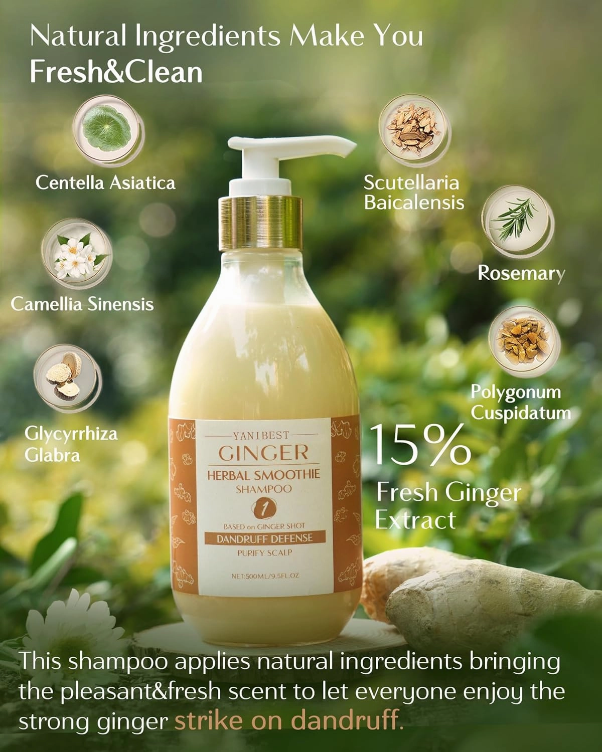 Yanibest Ginger Anti Dandruff Shampoo, Organic, Improves Scalp, Strengthens Hair, Itch-Free, For All Hair Types